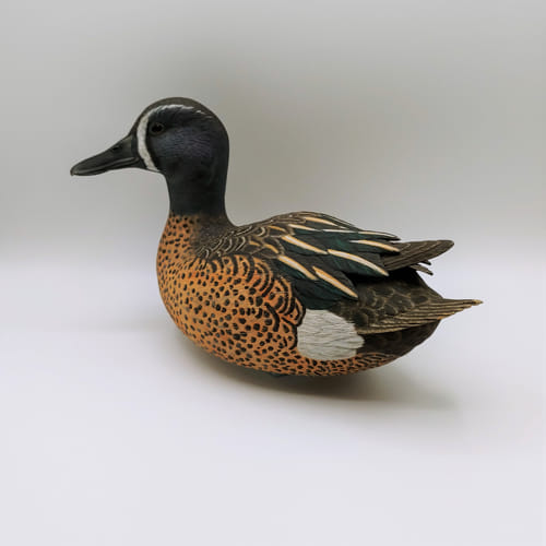 Blue Winged Teal Reduced to $1495 at Hunter Wolff Gallery